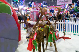 Credit: Dan Knott Photography