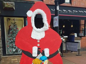 Supporting image for story: Santa selfie wlll help charities
