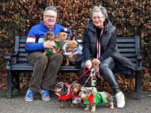 Gary and Claire Seale with their six dogs Peanut, Bertie, Olive, Ethel, Gladys and Mildred