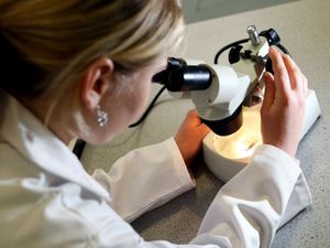 Supporting image for story: Labour urged to protect UK’s genomic sciences from hostile foreign states