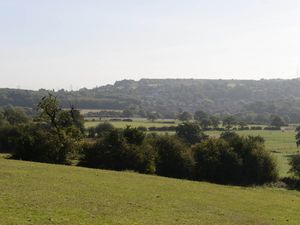 Supporting image for story: 'This could help save the green belt': Public asked to photograph wildlife at Seven Cornfields