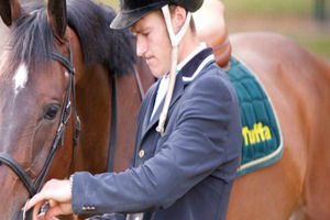 Witness high quality show jumping displays