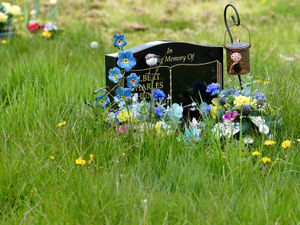 Supporting image for story: More regulation needed on cemeteries – Parish council and national body calling for action on Essington plots.