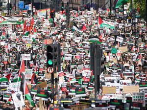 Supporting image for story: Peter Rhodes on extinct creatures, yet more AI and who packed the lager for a ruckus in London?