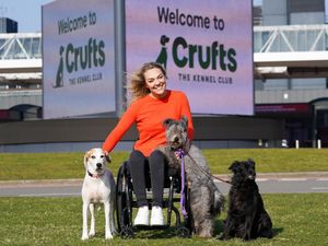 Supporting image for story: Dogs from across Midlands, UK and the world ready go to at Crufts 2022