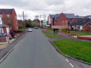 Supporting image for story: Three injured in Wombourne dogs attack