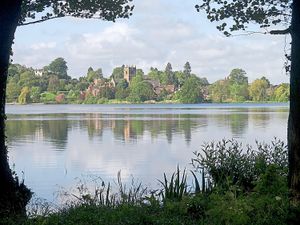 Supporting image for story: Warning over poisonous blue-green algae at the Mere in Ellesmere