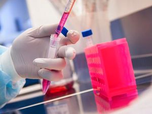 Supporting image for story: Express & Star comment: Vaccine will be key to normality 