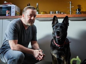 Supporting image for story