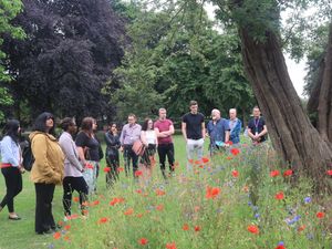 Supporting image for story: Walsall Arboretum boasts 'highest concentration of ancient and veteran trees in region'