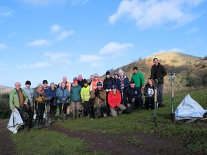 Supporting image for story: Could you be a Hedgerow Hero?