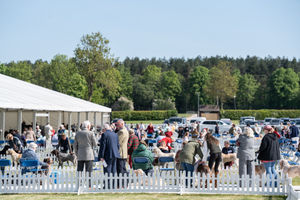 Birmingham National Dog Show 2025. Photo: Ian Knight/Z70 Photography