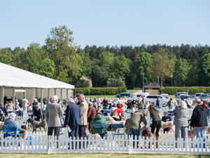 Birmingham National Dog Show 2025. Photo: Ian Knight/Z70 Photography