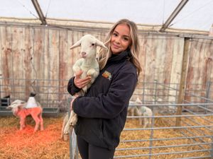 Supporting image for story: Spring is in the air as Lambing Live returns to a Staffordshire farm