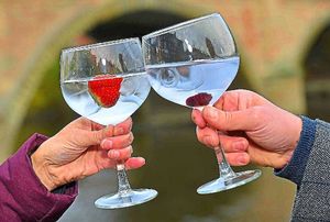 Gin is rising in popularity
