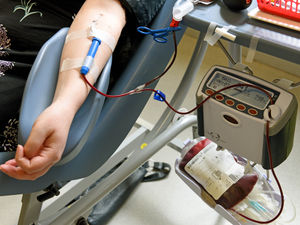 Supporting image for story: Shropshire Star comment: Bad idea to annoy the blood donors