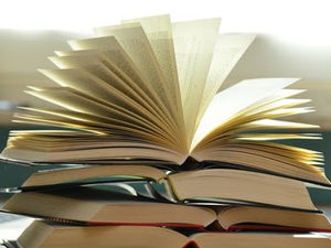 Supporting image for story: Amnesty on book returns to libraries for another few weeks only