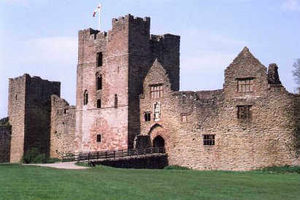 Have your wedding inside the castle or outside on the castle grounds