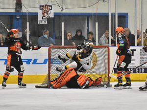 Supporting image for story: Telford Tigers coach Tom Watkins slams 'disgusting' Baskingstoke facilities 


