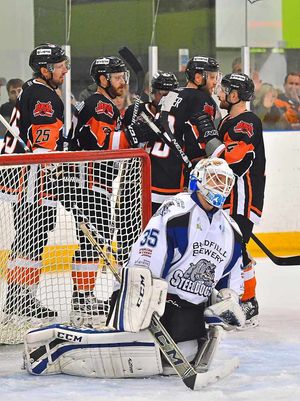 Tigers celebrate another goal against Sheffield.