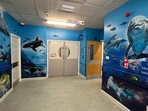 Supporting image for story: Famous mural artist launches fundraiser to help transform Wolverhampton hospital's children's wards