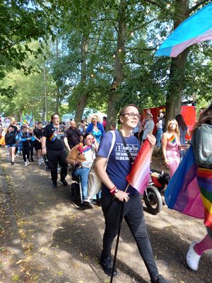 The town park was also hosting the Telford Community Carnival procession. Picture: Telford & Wrekin Council