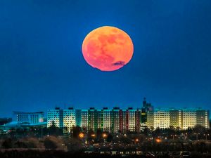 Supporting image for story: Take a look at these stunning pictures of last night’s super blue blood moon