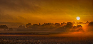 Early Sun Glow by Steve Rex