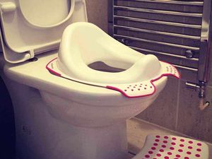 Supporting image for story: Toilet training emergency