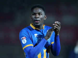 Supporting image for story: Toto Nsiala: Fresh approach can end Shrewsbury Town's home dip