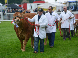 Supporting image for story: Staffordshire County Show begins: Everything you need to know about the two-day event