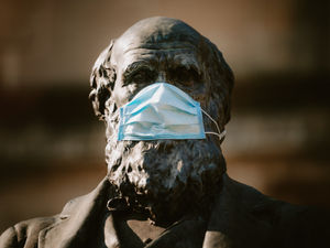 Supporting image for story: Is stat-ue, Charles? Darwin takes on a very contemporary appearance