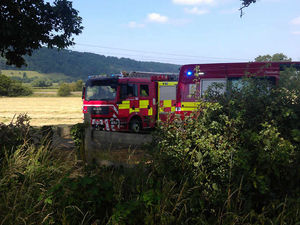 Supporting image for story: Top stories on Shropshirestar.com this week