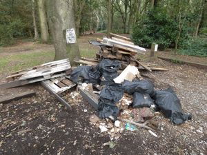Supporting image for story: Pallets, plaster and paste amongst rubbish dumped by fly-tippers