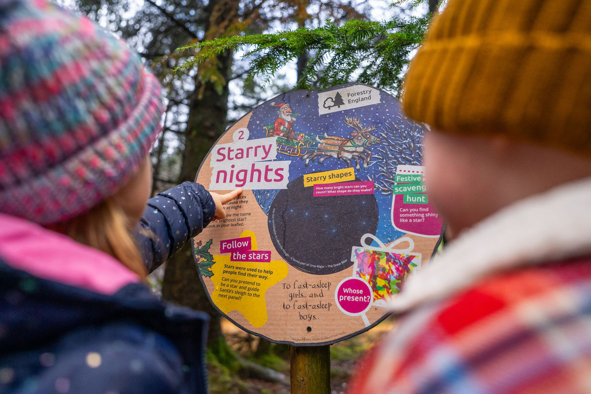 Stick Man brings Christmas magic to Wyre Forest with festive winter trail