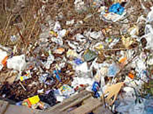 Supporting image for story: Home owners fury at bin rules