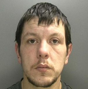 Supporting image for story