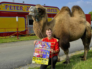 Supporting image for story: Wild animal circus - and protesters - heading to Shropshire