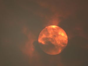The red sun over Cannock Chase. Credit: Sue Childs