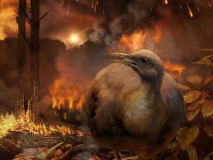 Supporting image for story: Only flightless birds survived dinosaur meteor strike, scientists believe