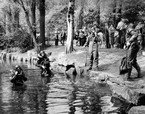 May 24, 1961: 'The underwater exploration section of Walsall police gave a demonstration at the annual inspection of Walsall police in the Arboretum lake today.' reads the caption. 