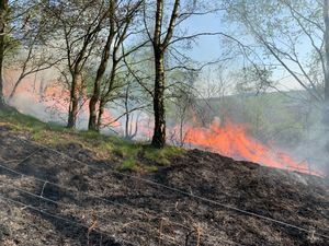 Supporting image for story: Ercall and Stirchley blazes keep firefighters busy