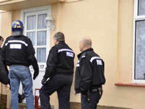 Supporting image for story: Cannabis plants found in loft