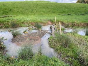 Supporting image for story: Shropshire countryside going to waste due to 'impassable footpaths' say villagers