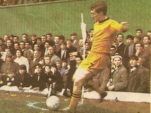 Supporting image for story: Wolves feature: Terry Wharton at home in centre stage 