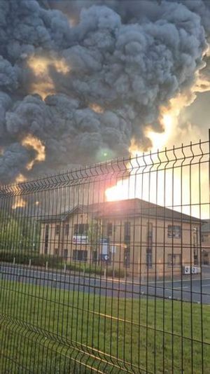 Photo: Terry Kingsley