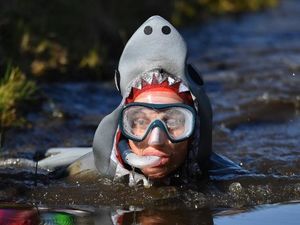 Supporting image for story: ‘Utterly ridiculous’ bog snorkelling is a hit again