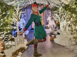 Supporting image for story: Elan Valley announces return of popular Christmas events this December