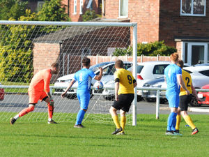 Supporting image for story: Hodnet stretch winning start to seven 