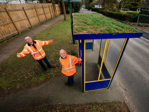Supporting image for story: Shrewsbury bus stop’s new ‘living roof’ just the ticket for wildlife 